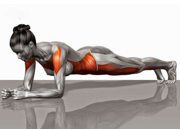 Bài tập Up - Down Plank cho nữ