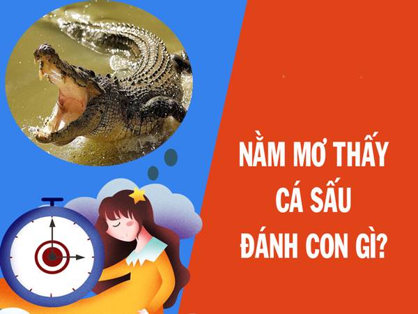 Nằm mơ thấy cá sấu đánh con gì