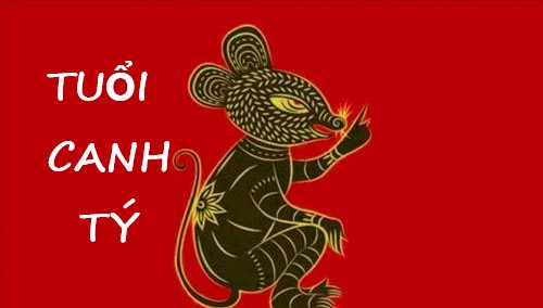 Số đẹp hôm nay tuổi Canh Tý 20/9/2024 – Xem ngay vận hạn