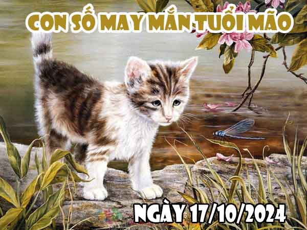 Con số may mắn tuổi Mão ngày 17/10/2024 thứ 5 hôm nay