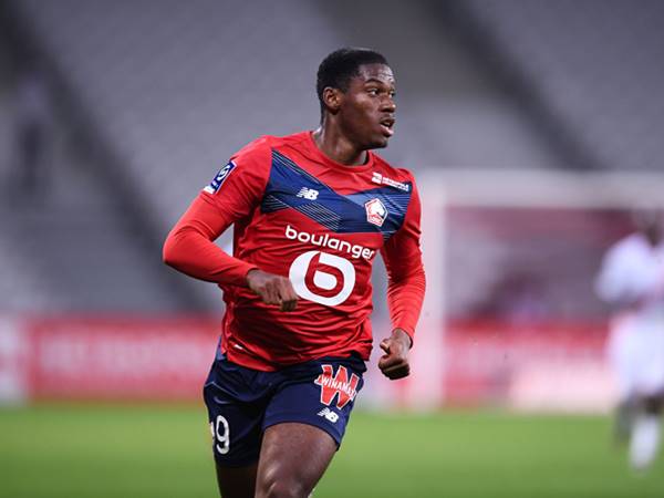 Các danh hiệu của Jonathan David