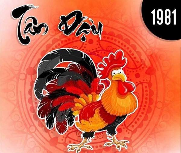 Vận trình tử vi tuổi Tân Dậu 27/11/2025