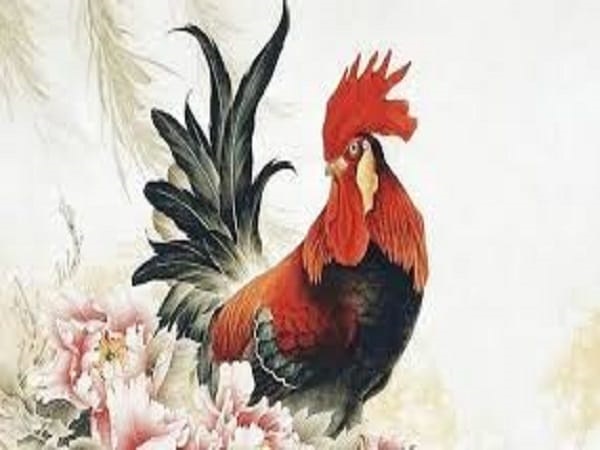 Tổng quan tử vi tuổi Dậu ngày 30/12/2025